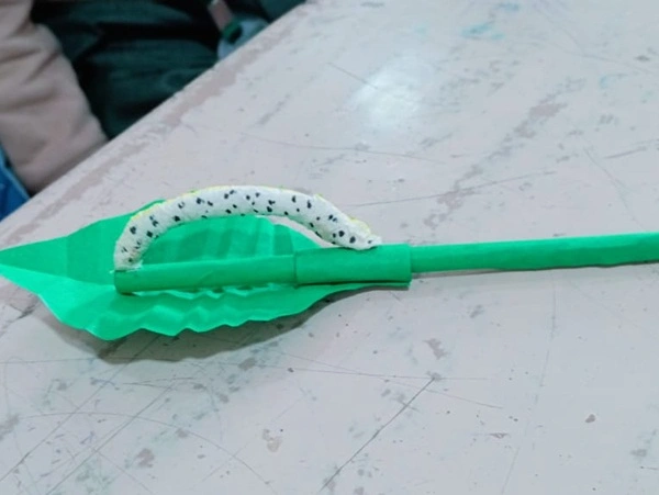 Traffic Awareness Program 